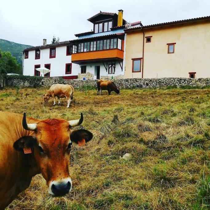 Casa Cosaratu, 2-9 Personas Villa Borines Bagian luar foto